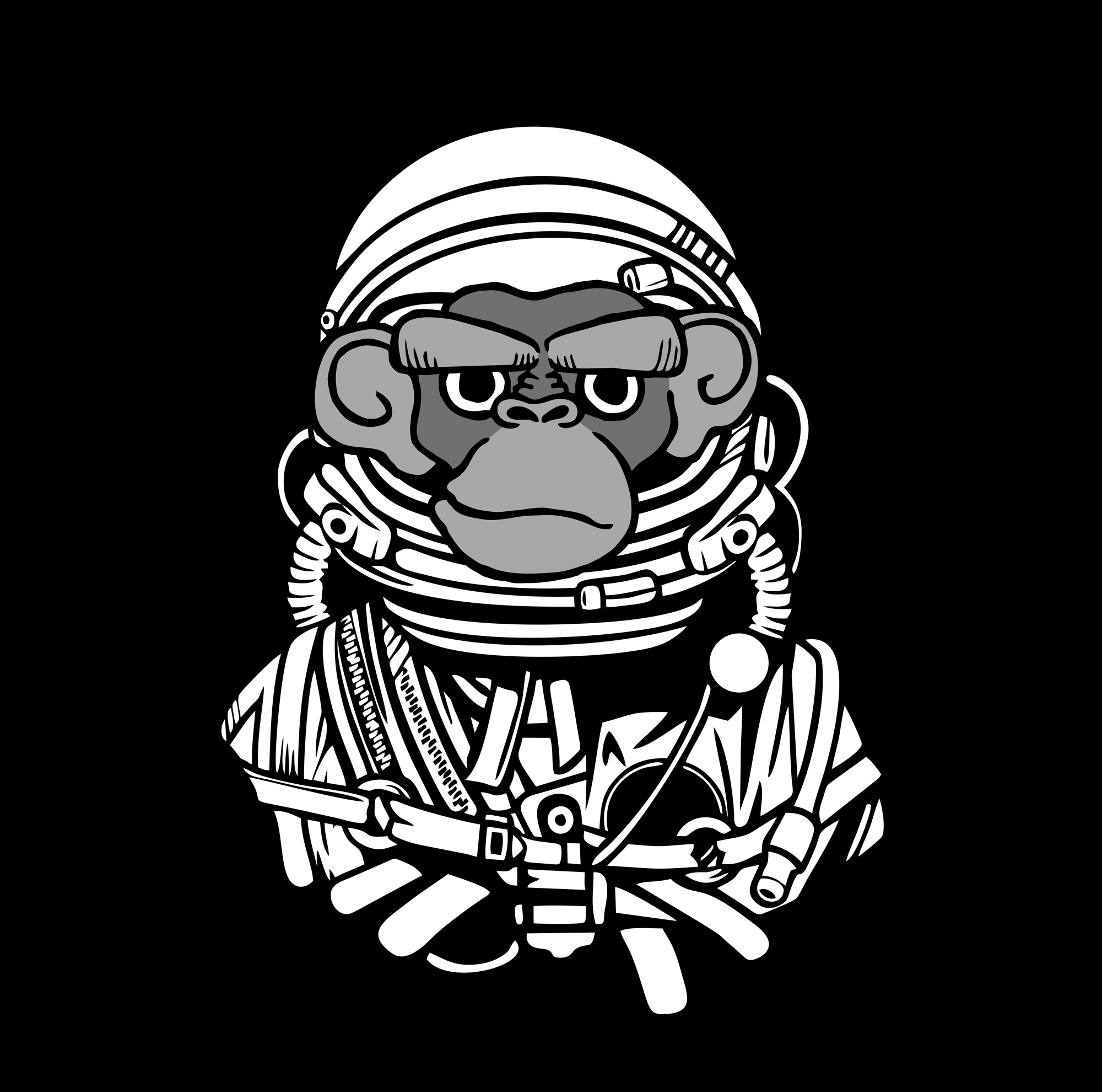 Astro Chimp