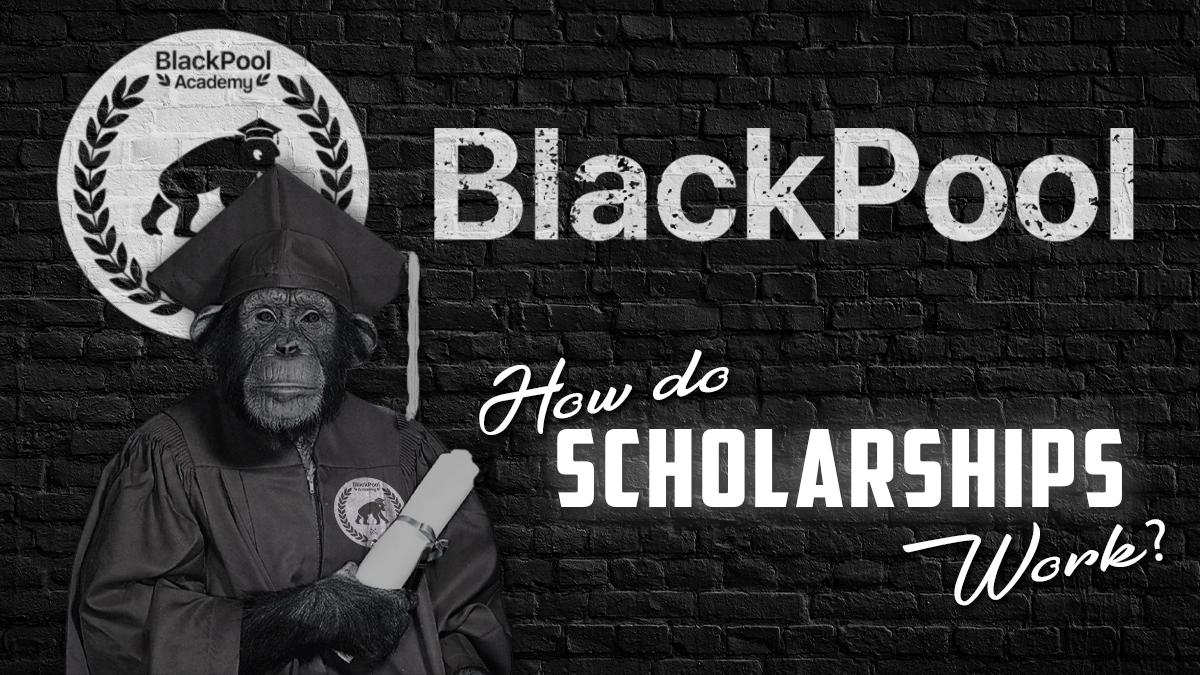 BlackPool Akademi - Burs Programı